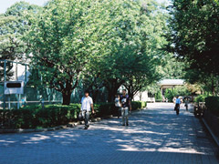 fh000003_0 fh000003_0