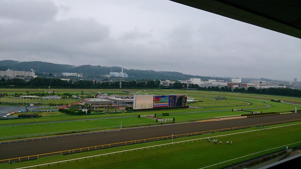 2014年新宿桜友会競馬観戦の会について(ご報告)　画像