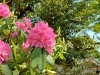50249bd4a6cdcb55ae6eaf206cde19c7